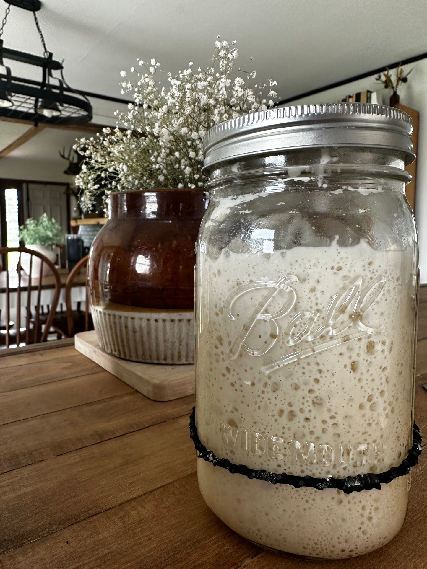Active Sourdough Starter (Local pick-up only)