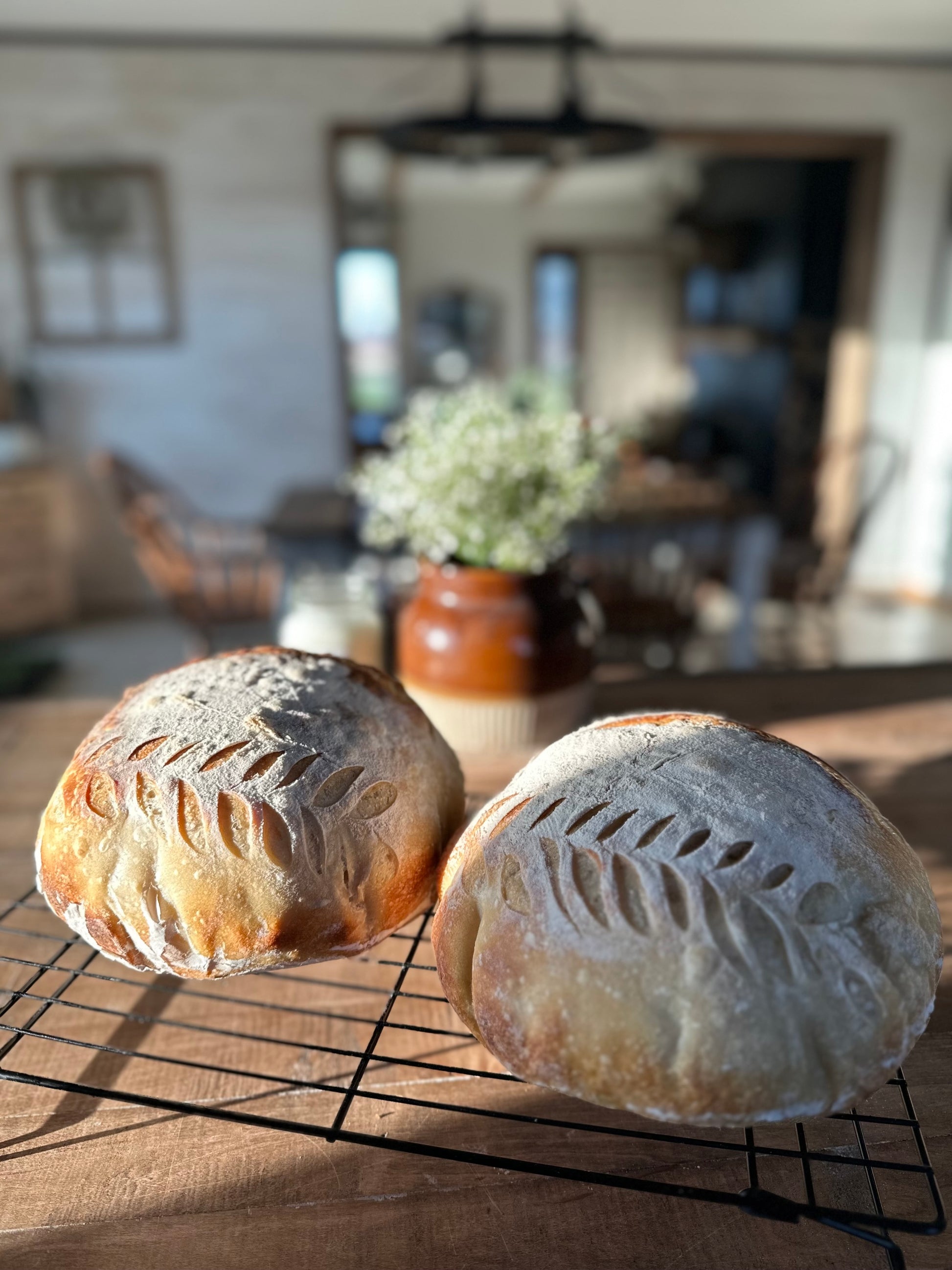 Sourdough Baking for Beginners – Place at the Table